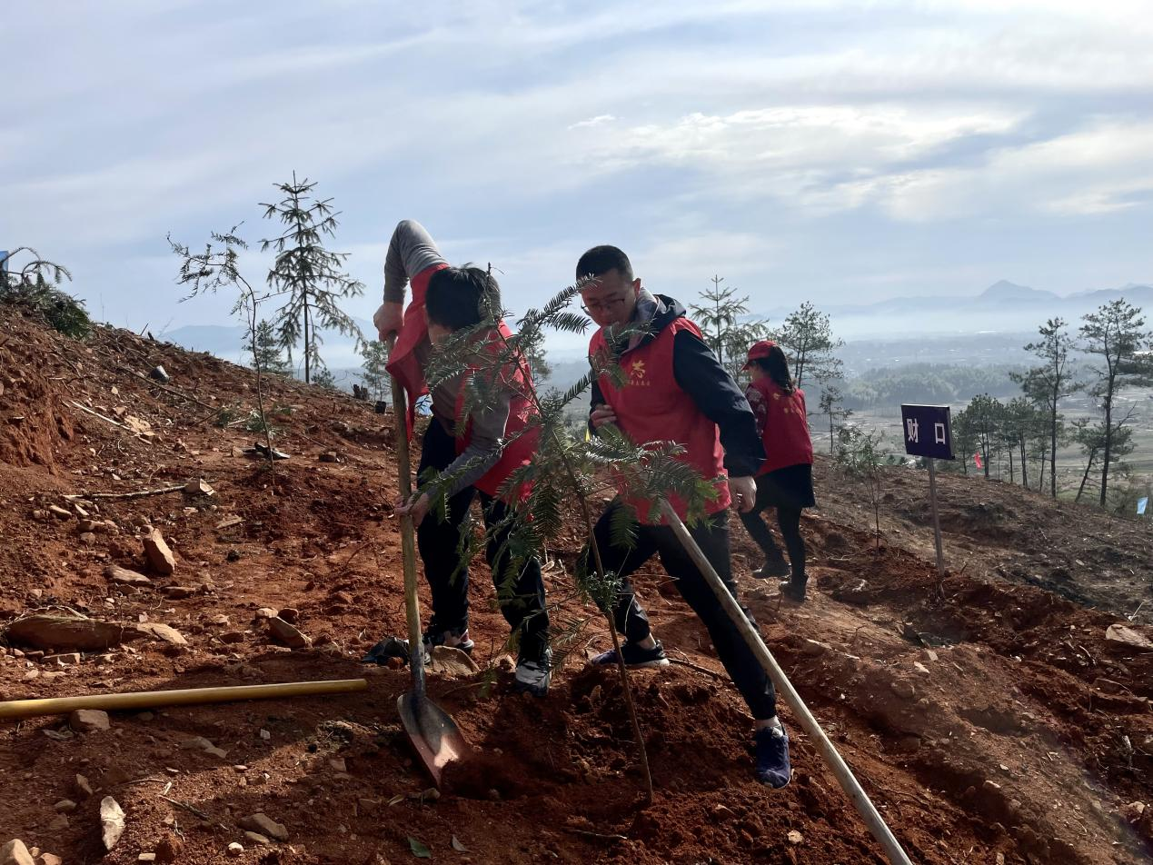 圖片1.png 圖片1.png